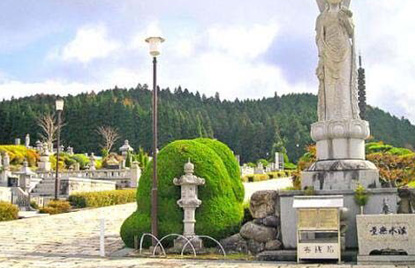 高野市